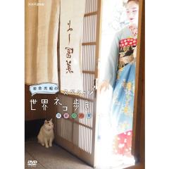 連続テレビ小説 スカーレット 完全版 DVD-BOX1 全3枚 NHKDVD 公式の