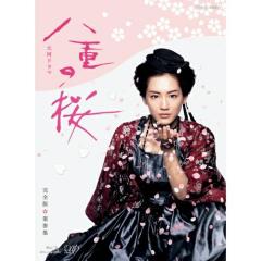 中越典子/女優力 中越典子　DVD 中越典子/女優力 中越典子 DVD