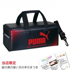 �v�[�} �G�̋�Z�b�g ���b�h �G�̋�̎g�����t�� ���w�Z ���w�� �j�̎q ���̎q ��ރZ�b�g PUMA2026 PM587