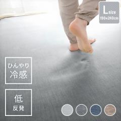 �⊴���O �ᔽ�����O�}�b�g 190�~240cm �����` ����~�ߕt�� �R�ۖh�L �Ђ��� �ڐG�⊴ �ĕ� 22S009