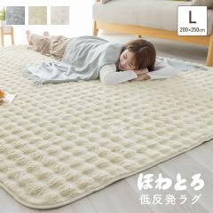 ���O �􂦂� 3�� 200�~250cm �������� �ᔽ�����O �􂦂郉�O ���O�}�b�g �������� �g���� �z�����M �~�M �Ód�C�h�~ ���g�[�Ή� �z�b�g