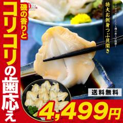 ��SNS�Řb��́I �󏭂ȓ���T�C�Y�����I�I���h�g�p �ԊL�J�� 2L�T�C�Y 500g(10�`20��) �c�u�L �L �h�g ���i�l�^