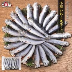 ���H���킵�ۊ��� 1kg 25���O�� �C���V �� �C�N �� ��e�� ������ �y�� ���� �ċ� BBQ ���܂� �ٓ� �l�C �Ⓚ�H�i �O���� �����ۑ� ��