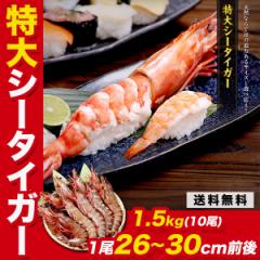  V[^CK[ 1.5kg 10  CV Gr  Ⓚ CVtC уtC VՂ VR BBQ v[g agesugi_sgu e_ot