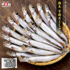 �q���� �ۊ���������� ����T�C�Y 500g �V�V���� ������� ���� �J���t�g�V�V���� ��銱�� ���H ���܂� �� �Ⓚ�H�i ��^ ������