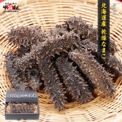 kCY  Ȃ܂ 100g MTCY i i v[g  ϔ Mtg i}R i}R ō R[Q _C  