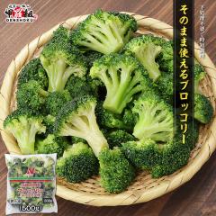 ���̂܂܎g����u���b�R���[ 500g �Ⓚ��� �J�b�g��� IQF ���Z �֗� ���ٓ� �X�[�v �T���_ �p�X�^ �O���^�� �t�����킹 �G�N�A�h�� ��