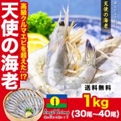 N}Gr𒴂!? Vg̊CV 1kg(30`40)  Gr hg Mtg agesugi_sgu e_ot