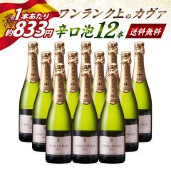�y�A�z���X�ň��l�I1�{������708�~�I 750ml x 12�{ �_�u������ �X�y�C���Y �h�� �X�p�[�N�����O���C�� �I�t�B�J�X �u�����b�g �X�p�[�N��