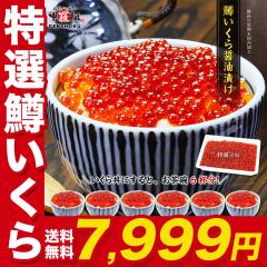 �N�����͂��Ԃɍ����I �������� �y�������I�z�������� �ݖ��Ђ� 500g(��6�l�O) �H�ו���I ������ �C�N�� �M�t�g ���� ���蕨 �v���[���g