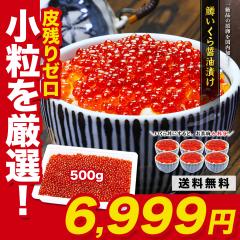  yIz ݖЂ 500g(6lO) HוI  CN Mtg  蕨 v[g N͂\ ~M