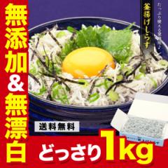yz YŸꋉiI yÉYz g炷 ƖpՂ1kg Hו VX 킵 CV т̂ J