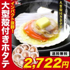 �C�NBBQ�ɂ����Ă����� �V�R�k�t�� ���ق��� ��^�T�C�Y(�k��10�`12cm�~8~10����) ���� �ق��� �z�^�e �o�[�x�L���[ BBQ