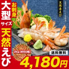 VRԂ 2kg (^TCY) 50O CV Gr  ԃGr AJGr  o[xL[ BBQ e_ak