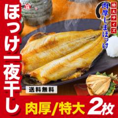 O͂ݏoIH׉Q̓偕 ܃zbP銱 2 ق ȃzbP ܂ق  BBQ o[xL[ Mtg 