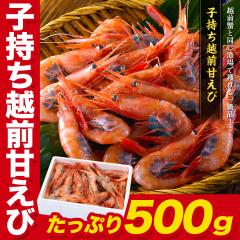 q zOÂ 500g/40 HוI Gr  CV ܂ A}Gr ÃGr 芪i iP[L Jbvi e_am