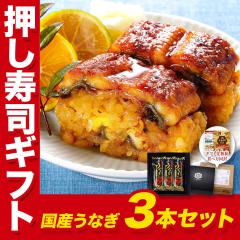  Ȃ iMtgl YȂi  3{Zbg(24/Jbgς) pϔHו̐  EiM Vi Mtg 