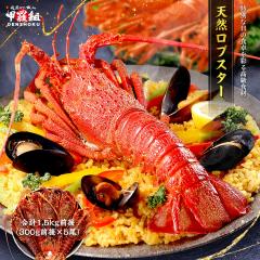 �V�R ���u�X�^�[ ���v1.5kg�O��(300g�O��~5��) ���� �C�V �G�r �ɐ��C�V �C�Z�G�r �Ⓚ ���� �f�B�i�[ �C���X�^�f�� �f������ �r�X�N �z