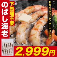 ubN^CK[gpI W{̂΂CV 390g 10 sv  CV Gr  Ⓚ CVtC уtC VՂ agesugi