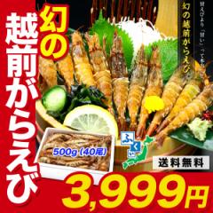 Sʌ̔I ̉zO炦 500g(40) ς\邽ߎR𓀂͔AHׂ钼Oɗŋ}𓀂Ă