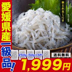 ẗi! !QY {̒ǂ 炷 250g VX ~l Y Y т̂ agesugi_sgu