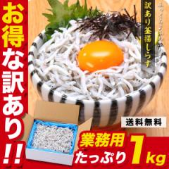 y󂠂z g炷 ƖpՂ1kg Hו g VX  ߂ ` т̂ H