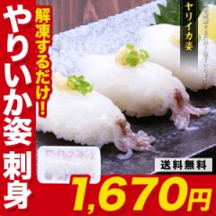 CJp (8g~20) 肢  CJ G CJQ\ i hg agesugi_sgu
