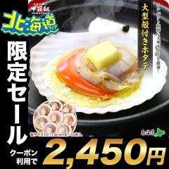 ���N�[�|�����p�Ł�2,450�~�I�� �C�NBBQ�ɂ����Ă����� �V�R�k�t�� ���ق��� ��^�T�C�Y(�k��10�`12cm�~8~10����) ���� �ق��� �z�^�e �o