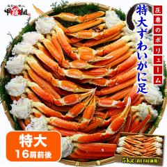 yz yƖp/Ynz  {C킢 5kgi3LTCY/16Oj YCKj Jj  I Jj  Ԃ