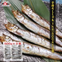 q  1kgi500g~2܁j ACXhY 銱 JtgVV  ӂ H o[xL[ BBQ H 