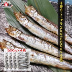 q  2kgi500g~4܁j ACXhY 銱 JtgVV  ӂ H o[xL[ BBQ H 