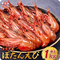 ߂ɂȂ󏭂ȒTCYIIyJi_YzVRڂ񂦂1kg(15O) OCV O {^Gr X|bgGr hg