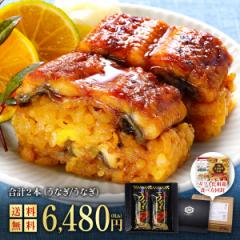 丑の日 うなぎ お中元 御中元 ギフト 押し寿司ギフト詰合せ 専用化粧箱＆食べ方の説明書同封 国産うなぎ寿司  2本セット（16貫/カット済