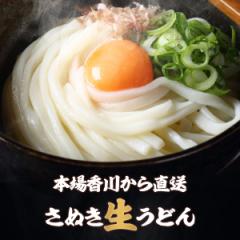 {̂ʂǂ9Hi300g~3܁j ] udon |Cg n