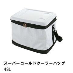 �ۗ�o�b�O 47L ��^ �N�[���[�o�b�O ��e�� ��42.5 ���s34.5 ����34.5 �ۗ� �R���p�N�g �܂肽���� �e�[�u�� ���b�V���|�P�b�g
