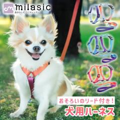 yMILASICz   n[lX 낢 [ht SȂ Of  킢  ^ ^ ^ Ȃ 