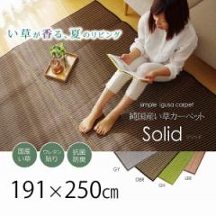 ���������� �Ẵ��r���O��  �������O 191�~250 �y���������z 3�� ������� ���Y �E���^������ �����J�[�y�b�g �ėp���O�}�b�g ���{�� �N