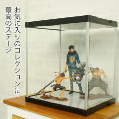 ���Y�A�N�����̓����� �R���N�V�����P�[�X J-STAGE �~���[���� �t�B�M���A�P�[�X �A�N�����P�[�X �t�B�M���A �I ���� �����` ��^ ���[ 