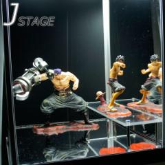 �A�N�����ЂȒd J-STAGE�m�W�F�C�E�X�e�[�W�n�E����50 �A�N�����I �W�F�C�X�e�[�W �L���[�u�{�b�N�X�� �I�v�V���� ���d �q�i�d ���� �A�N