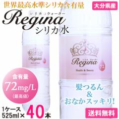 VJ 525ml 40{  ~lEH[^[ VR VJ VJEH[^[ ZxVJ PCf   Regina W[i 