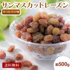�y���Y���E�����s�g�p�z �h���C�T���}�X�J�b�g���[�Y�� �I�[�X�g�����A�Y 500g ���[�Y�� �h���C�t���[�c �t���[�c �����u�h�E ���e ���N 