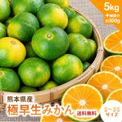 �ɑ����݂��� 5kg �݂��� ���� �������� �G�߂̃t���[�c �F�{���Y �r-3S ���� ������ �P�[�X �F�{�Y �~�J�� ���k �t���[�c �ʕ� �u�₩��