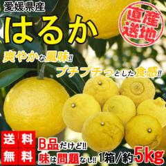 �͂邩 �݂��� �󂠂� 5kg �������� ���ƒ�p ������ B�i �T�C�Y�~�b�N�X ���k �t���[�c �ʕ� �Y�n���� ���Q���Y YDF-005