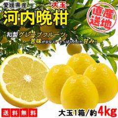 �͓��ӊ� ��� 4kg �������� �ӊ� ���ƒ�p ������ �݂��� ���k �t���[�c �ʕ� �Y�n���� ���Q���Y  YDF-015