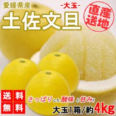 �y�����U ��� 4kg �������� ���U ���ƒ�p ������ �T�C�Y�~�b�N�X �݂��� ���k �t���[�c �ʕ� �Y�n���� ���Q���Y YDF-006