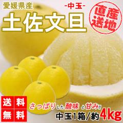 �y�����U ���� 4kg �������� ���U ���ƒ�p ������ �T�C�Y�~�b�N�X �݂��� ���k �t���[�c �ʕ� �Y�n���� ���Q���Y YDF-007