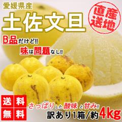 �y�����U �󂠂� 4kg �������� ���U ���ƒ�p ������ �T�C�Y�~�b�N�X �݂��� ���k �t���[�c �ʕ� �Y�n���� ���Q���Y YDF-008