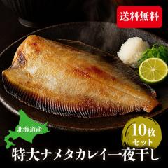 kCY  JC銱 JC i^JC銱 10Zbg 銱 ܂ CN Ε Mtg shr-046