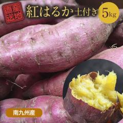 g͂邩 ܂ 5kg   Yn Y yt ܈ F Ă Ă ΏĂ   C BY FJK-00