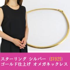 NEW!! �y���������E����ō��z �C�^���A���E�m�I�ŃJ���X�}���̏ے��I �X�^�[�����O �V���o�[ (